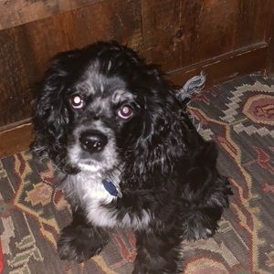 Meet your Posher, Kathryn